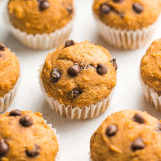 Chocolate Chip Pumpkin Mini Muffins