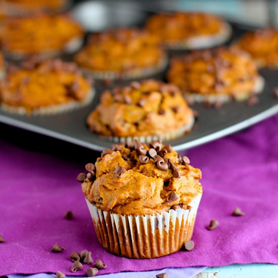 Pumpkin Chocolate Chip Muffins