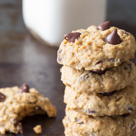 Pumpkin Chocolate Chip Cookies