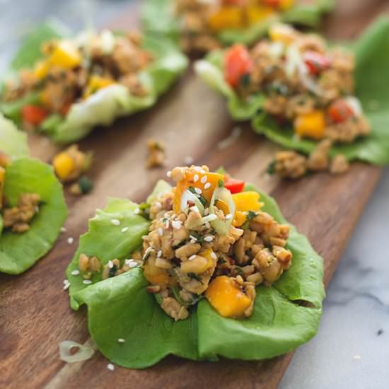 Tempeh Mango Lettuce Wraps