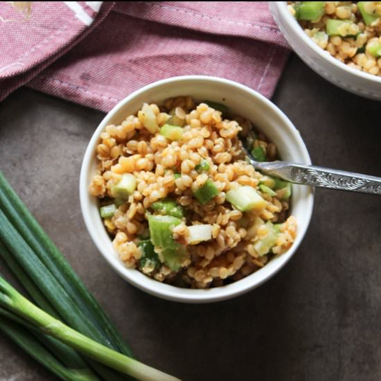 Red Lentil Wheat Berry Salad