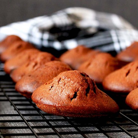 Chocolate Madeleines