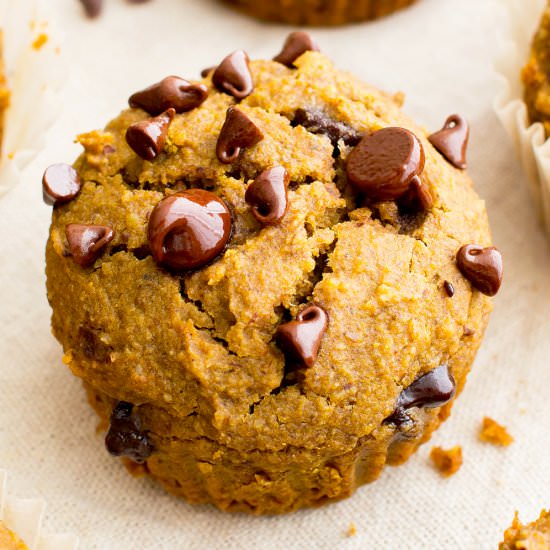 GF Pumpkin Chocolate Chip Muffins