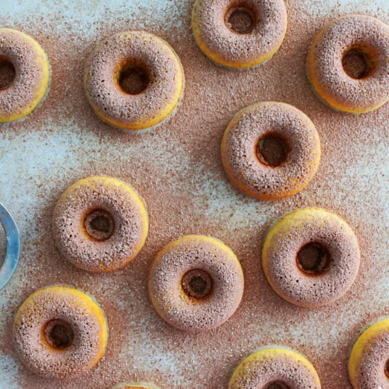BAKED BUTTERMILK DOUGHNUTS