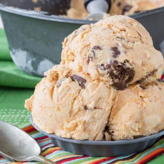 Nutella-Pumpkin No Churn Ice Cream