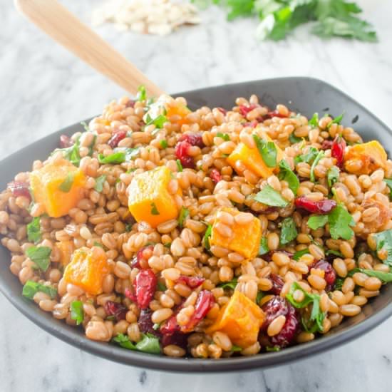 Autumn Butternut Squash and Wheat Berry Salad