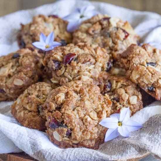 Cranberry, Coconut, and Almond Cookie
