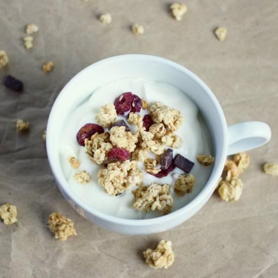 Homemade Yogurt