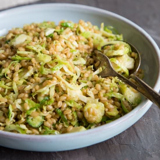 Wheat Berry Salad