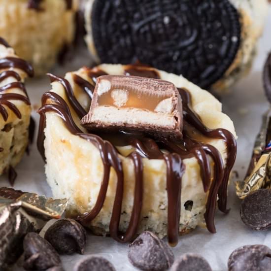 Mini Snickers Cheesecakes