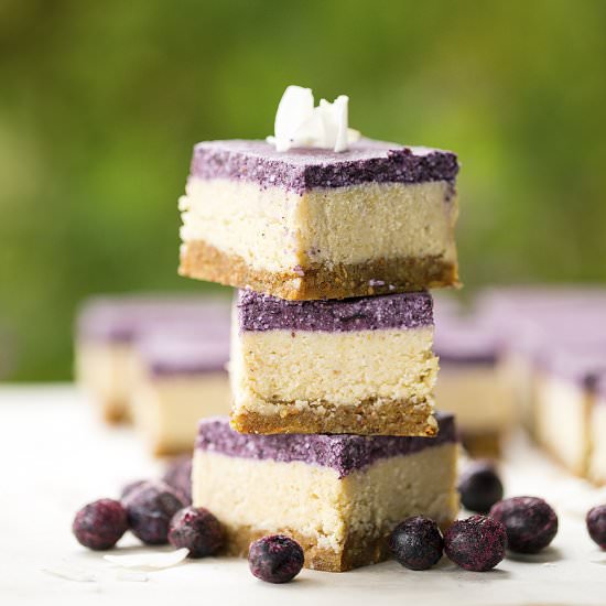 Raw Blueberry & Lemon Slice