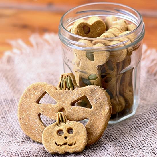 Pumpkin Spice Dog Treats
