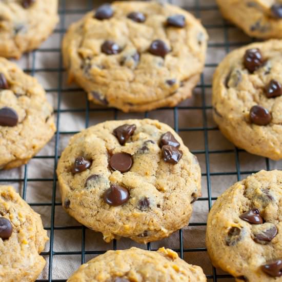 Pumpkin Chocolate Chip Cookies