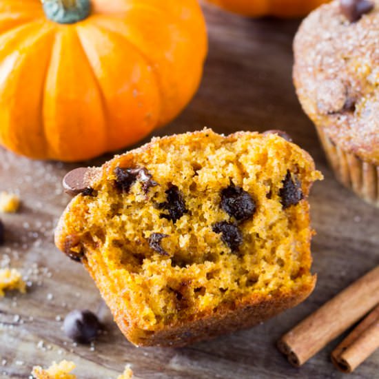 Pumpkin Chocolate Chip Muffins