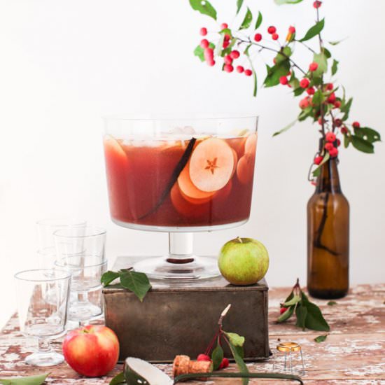 Sparking Apple Cider Punch