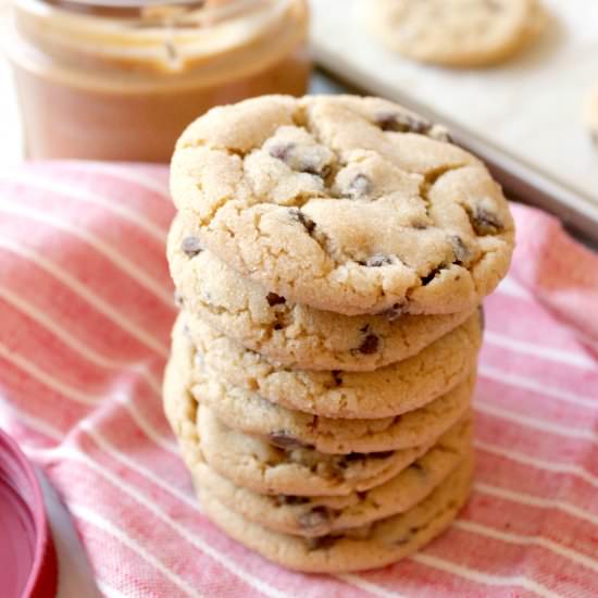 Peanut Butter Chocolate Chip Cookie