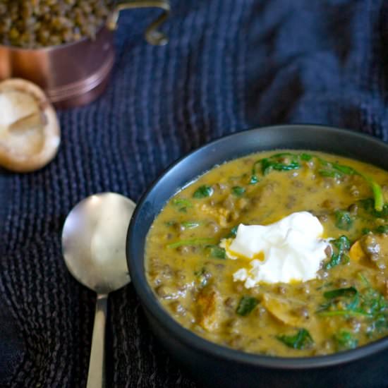 French Lentil Stew