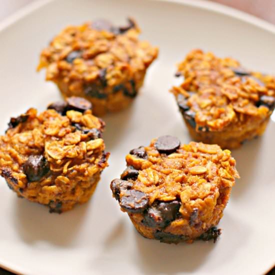 Pumpkin Chocolate Oatmeal Bites