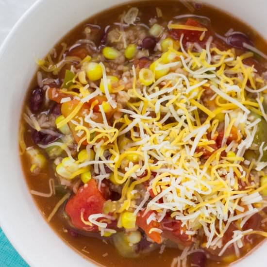 Slow Cooker Mexican Tomatillo Soup