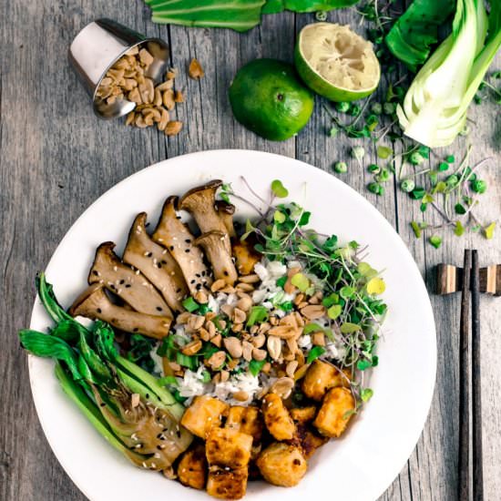 Crispy Peanut Tofu on Coconut Rice