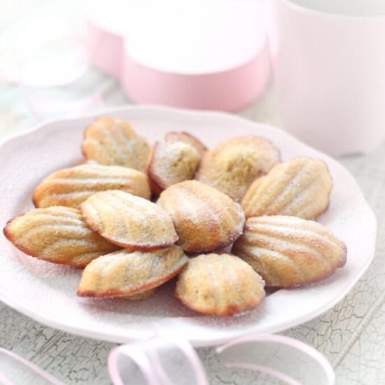 Tiramisu Madeleines