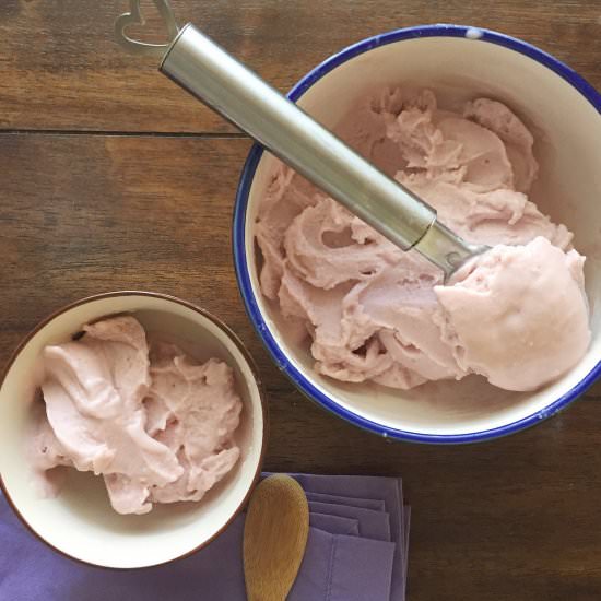 Paleo Coconut Strawberry Ice Cream