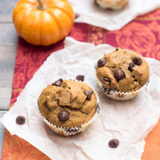 Pumpkin Chocolate Chip Muffins