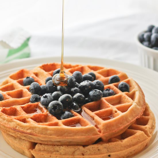 Dairy Free Coconut Waffles