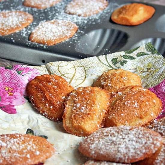 Classic French Madeleine Cookies