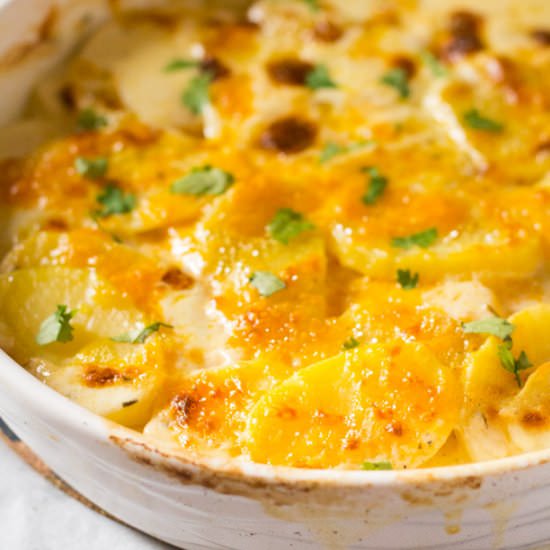 Rosemary & Cheese Potato Gratin