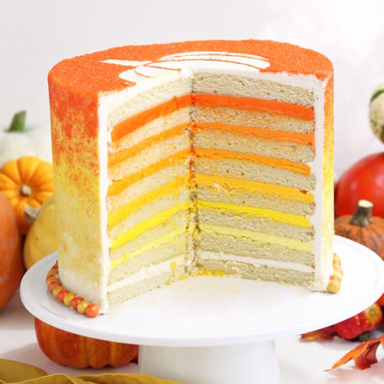 Stenciled Halloween Sprinkle Cake