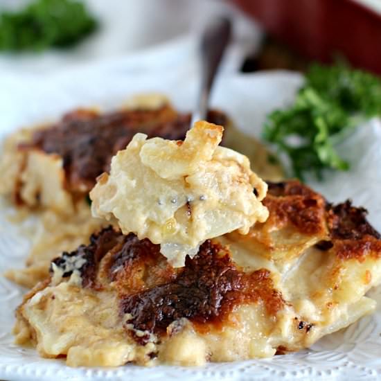 Béchamel Sauce Potato Gratin