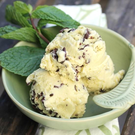 Mint Chip Ice Cream