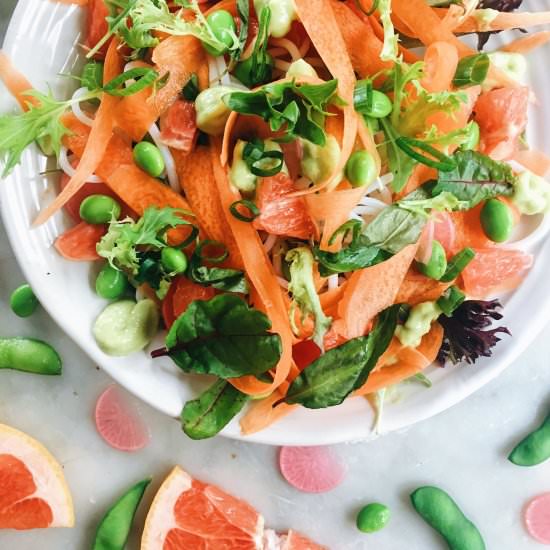 Wasabi, Avo, and Carrot Noodle Salad
