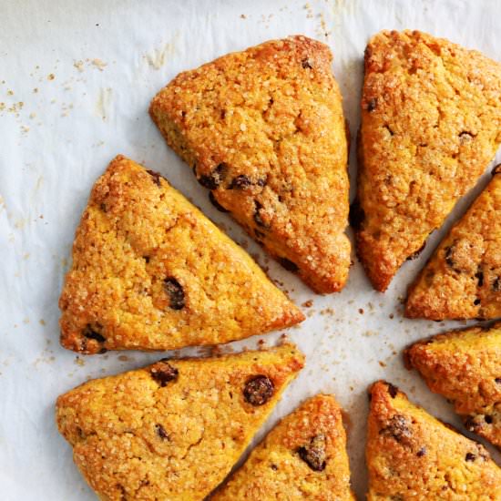 CHOCOLATE CHIP PUMPKIN SCONES