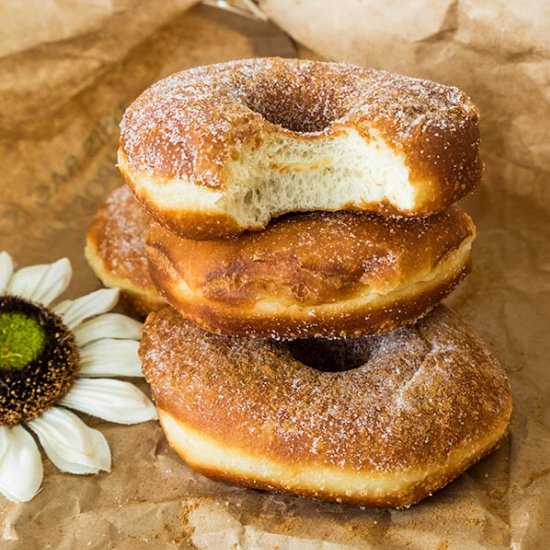 Gluten Free Cinnamon Donuts