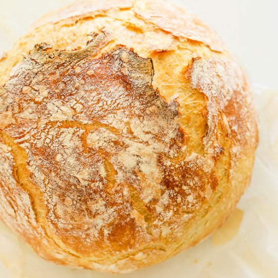 Best No Knead Bread Recipe
