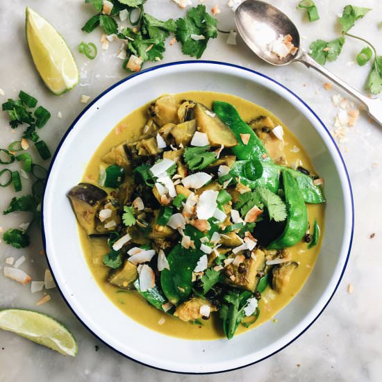 Coconut and Ginger Eggplant Curry