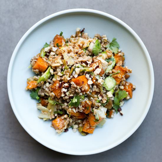 Farro and Butternut Squash Salad