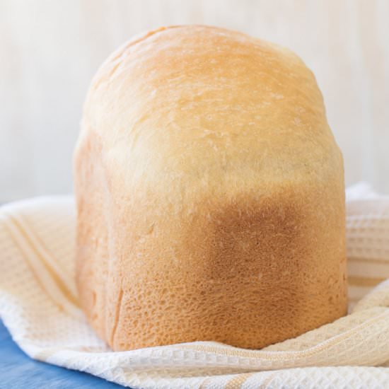 Best Bread Machine Bread Recipe