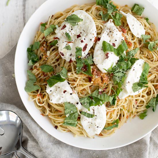 Pasta Checca with Burrata