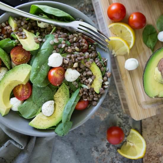 Lentil Spinach Salad
