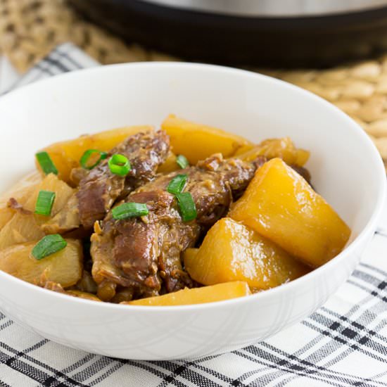 Japanese Pork Tender Rib Stew
