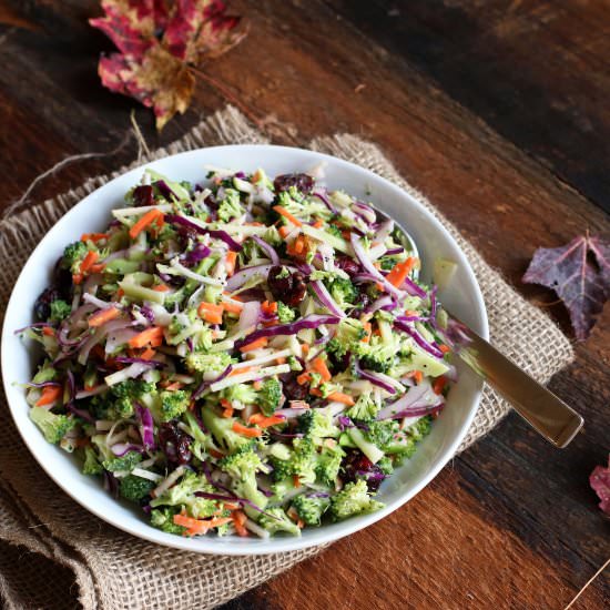 Fall Broccoli Slaw Salad