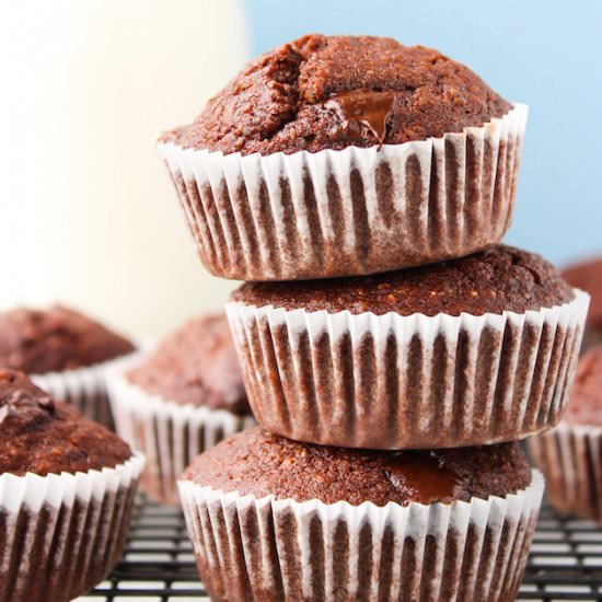 Chocolate Chia Seed Muffins