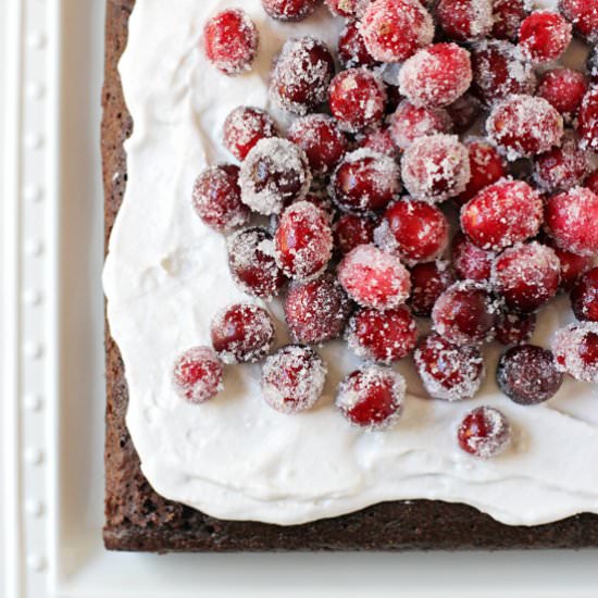Chocolate Olive Oil Cake