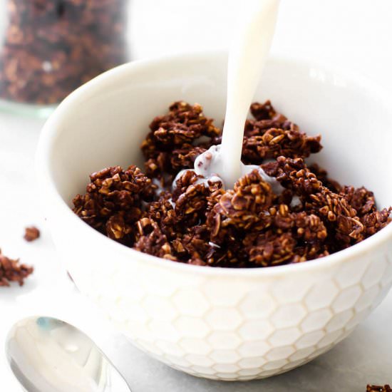 Oil-Free Chocolate Coconut Granola