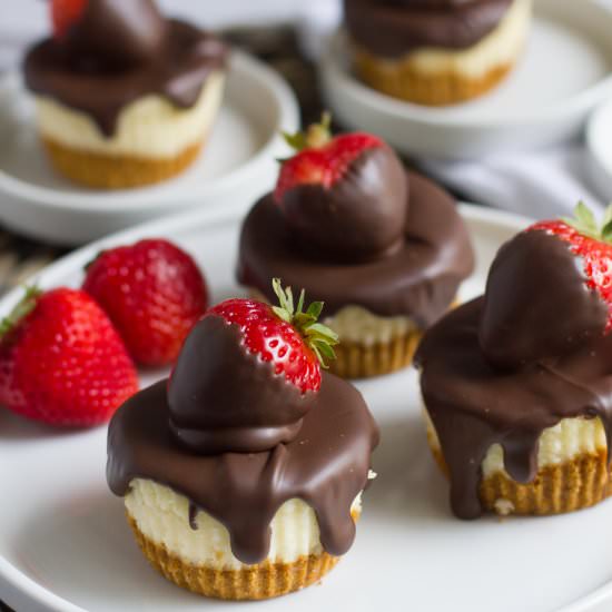 Chocolate Strawberry Cheesecake