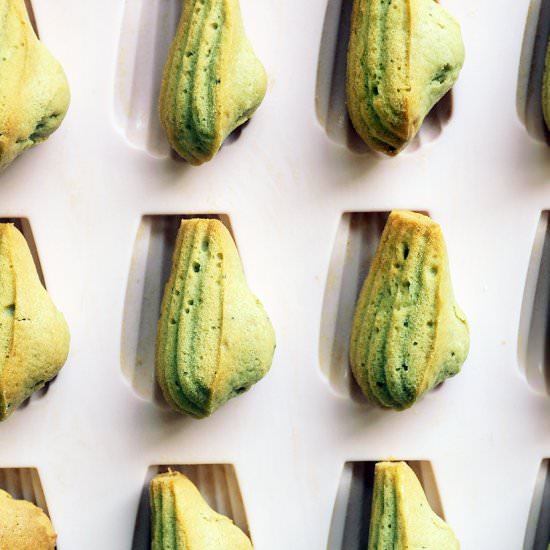 Matcha Green Tea Madeleines