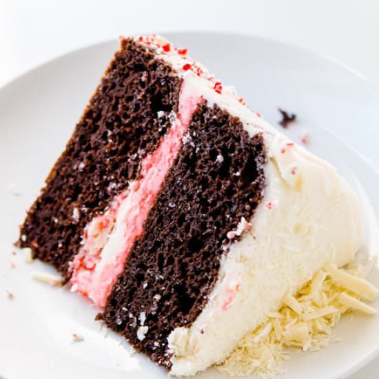 simple chocolate peppermint cake